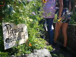 Cuisine dans le potager bio