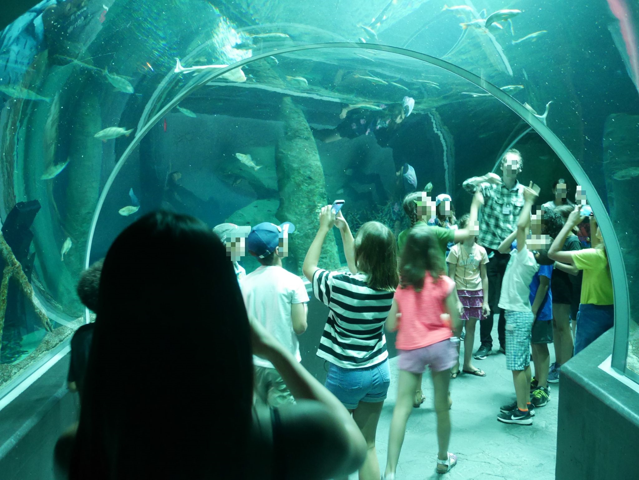 Enigme à Aquatis 2022