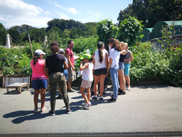 Cuisine dans le potager bio