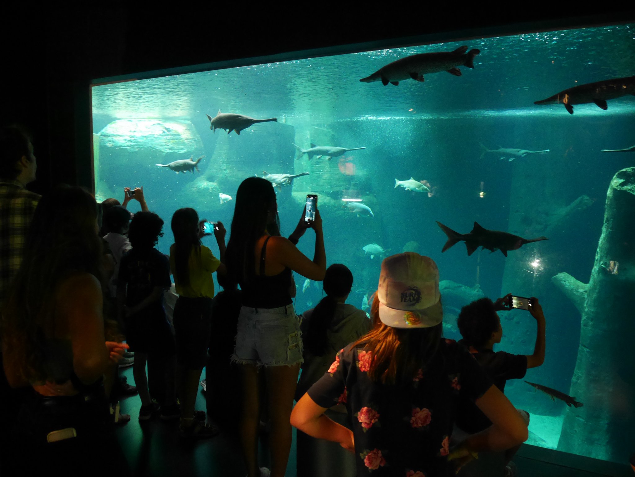 Enigme à Aquatis 2022