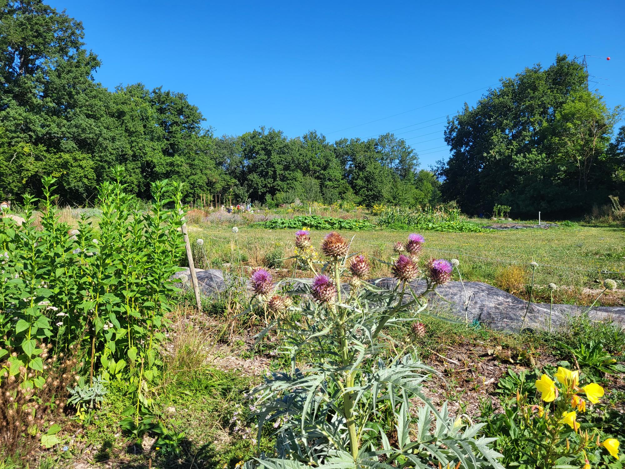 Initiation au jardinage 2022