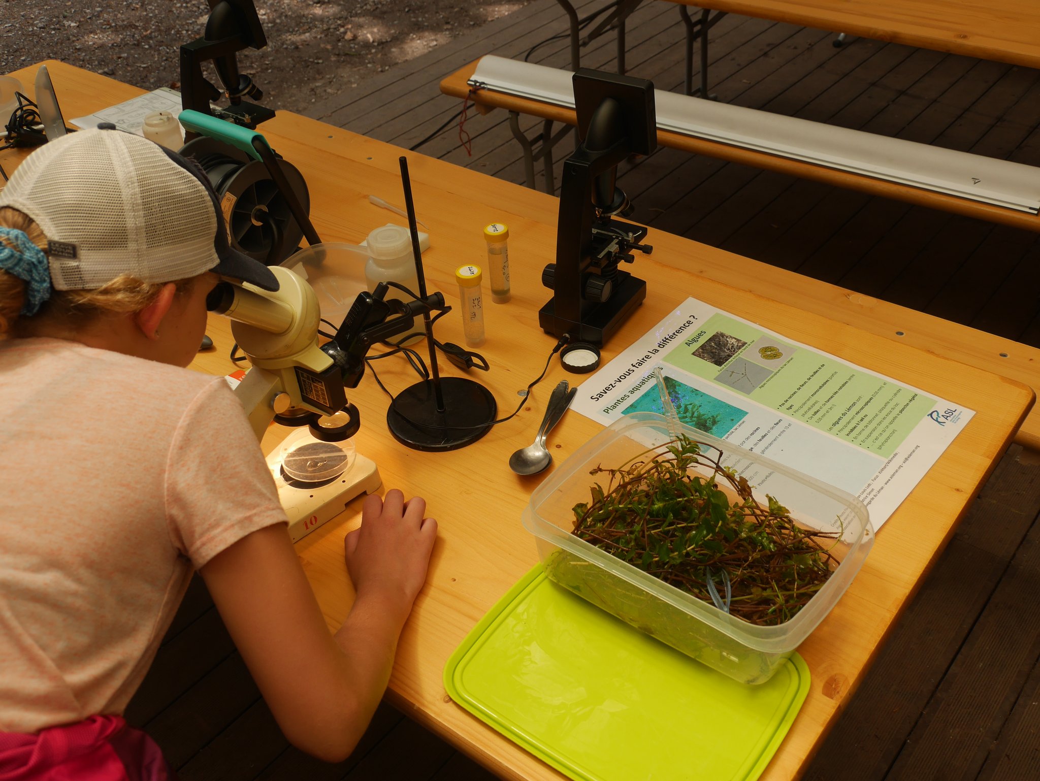 Le Léman, source de vie 2022