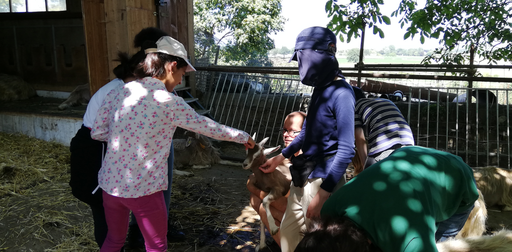 Découvre la vie de la ferme de la Touvière!