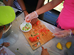 Cuisine dans le potager bio