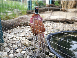 Découverte du métier de gardien d'animaux