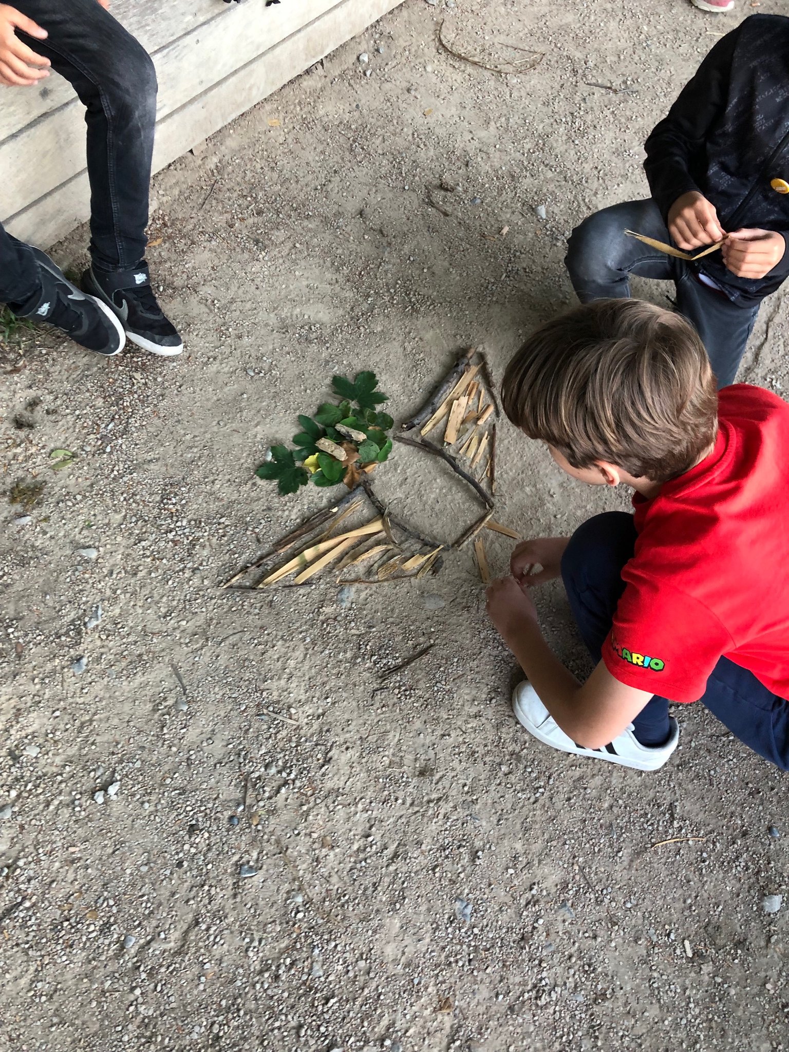 A la découverte des chauves-souris 2022