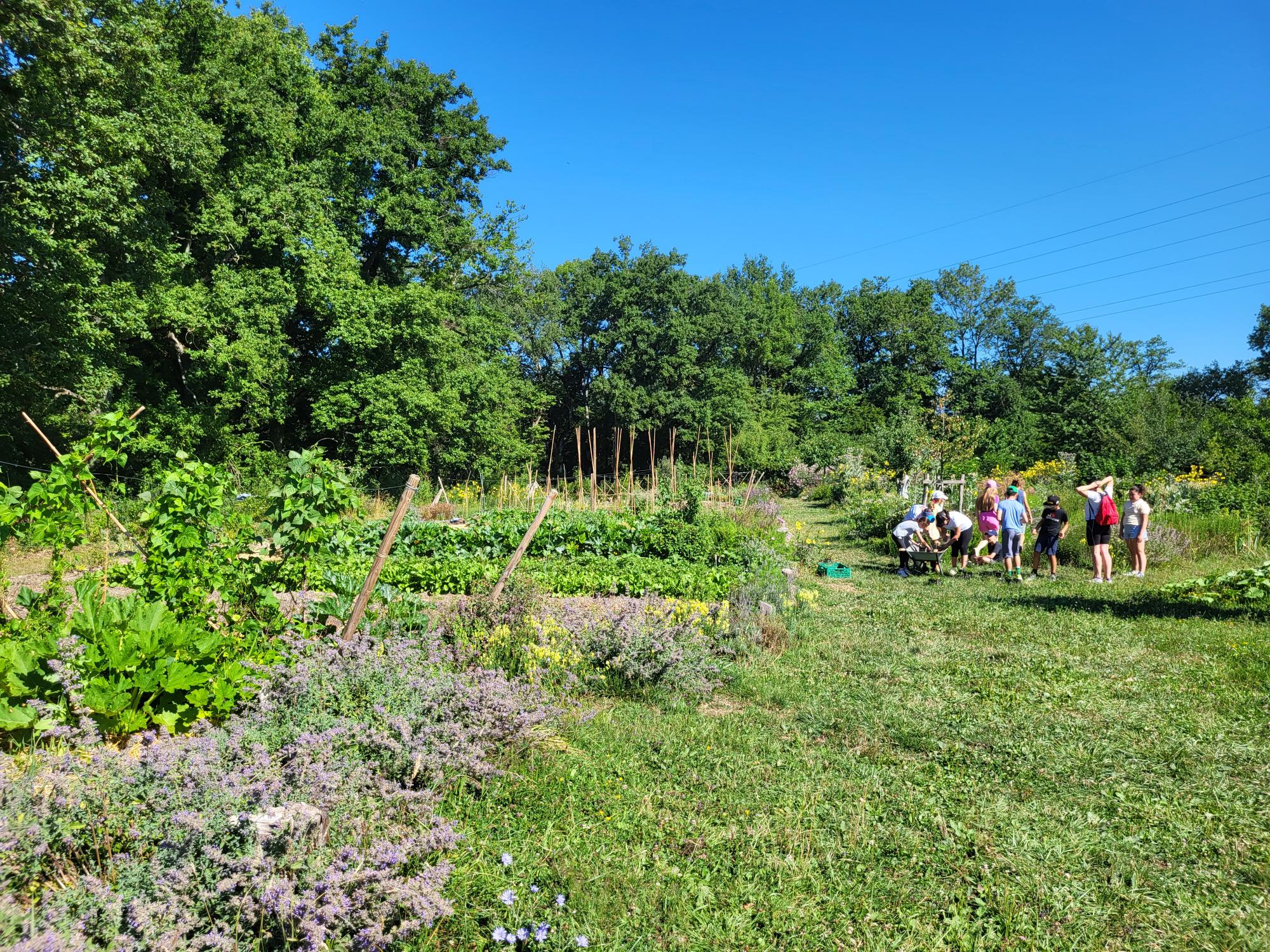 Initiation au jardinage 2022