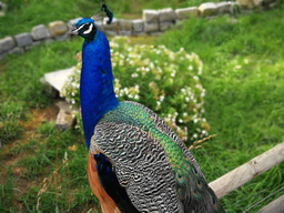 Découverte du métier de gardien d'animaux