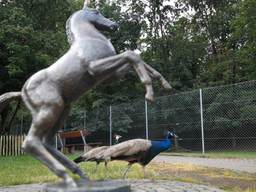 Découverte du métier de gardien d'animaux