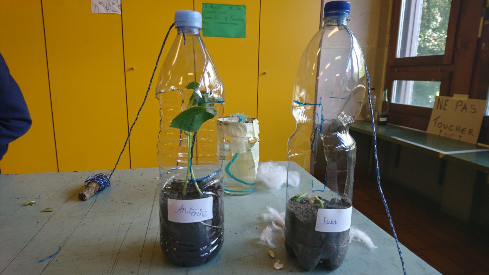 Ateliers bricolages énergies et alimentation 2020