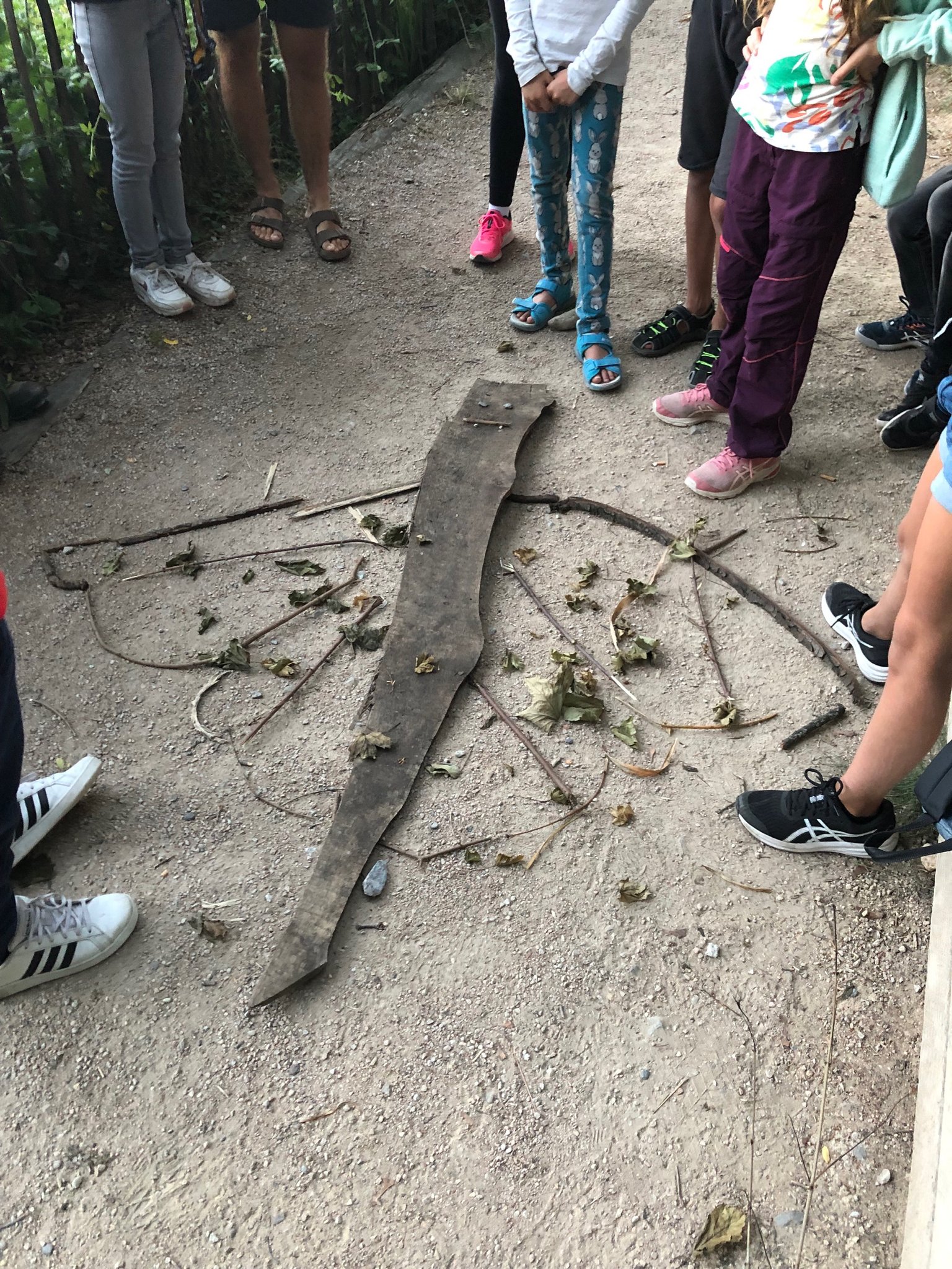 A la découverte des chauves-souris 2022