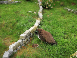 Découverte du métier de gardien d'animaux