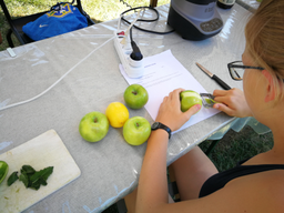 Cuisine dans le potager bio