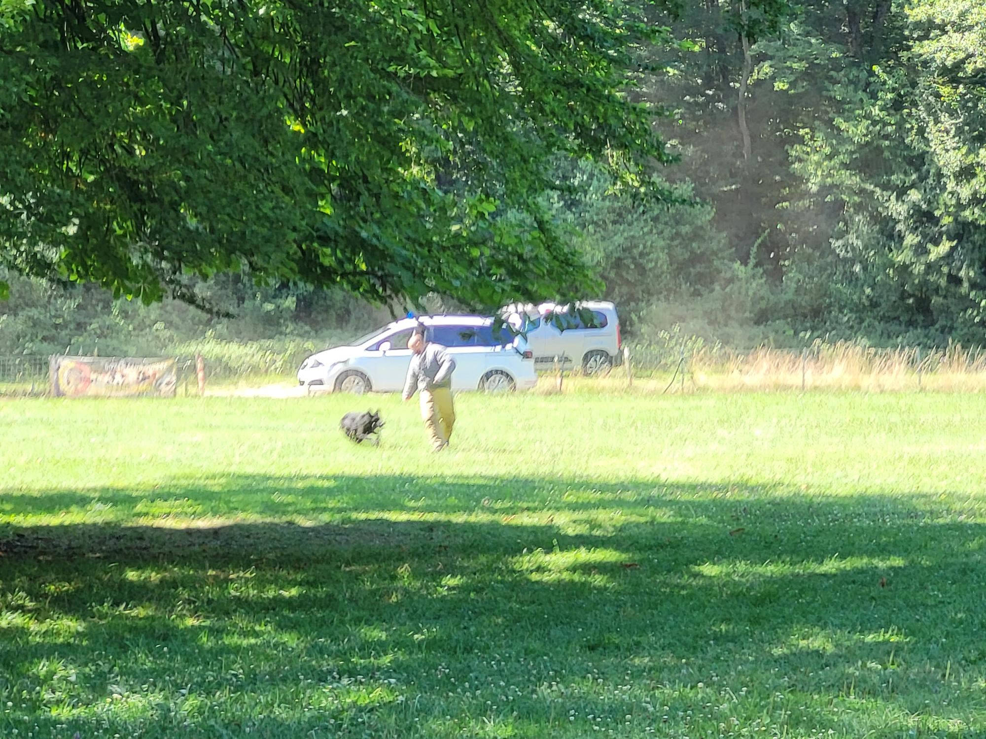 Démonstration de la brigade des chiens de Police 2022