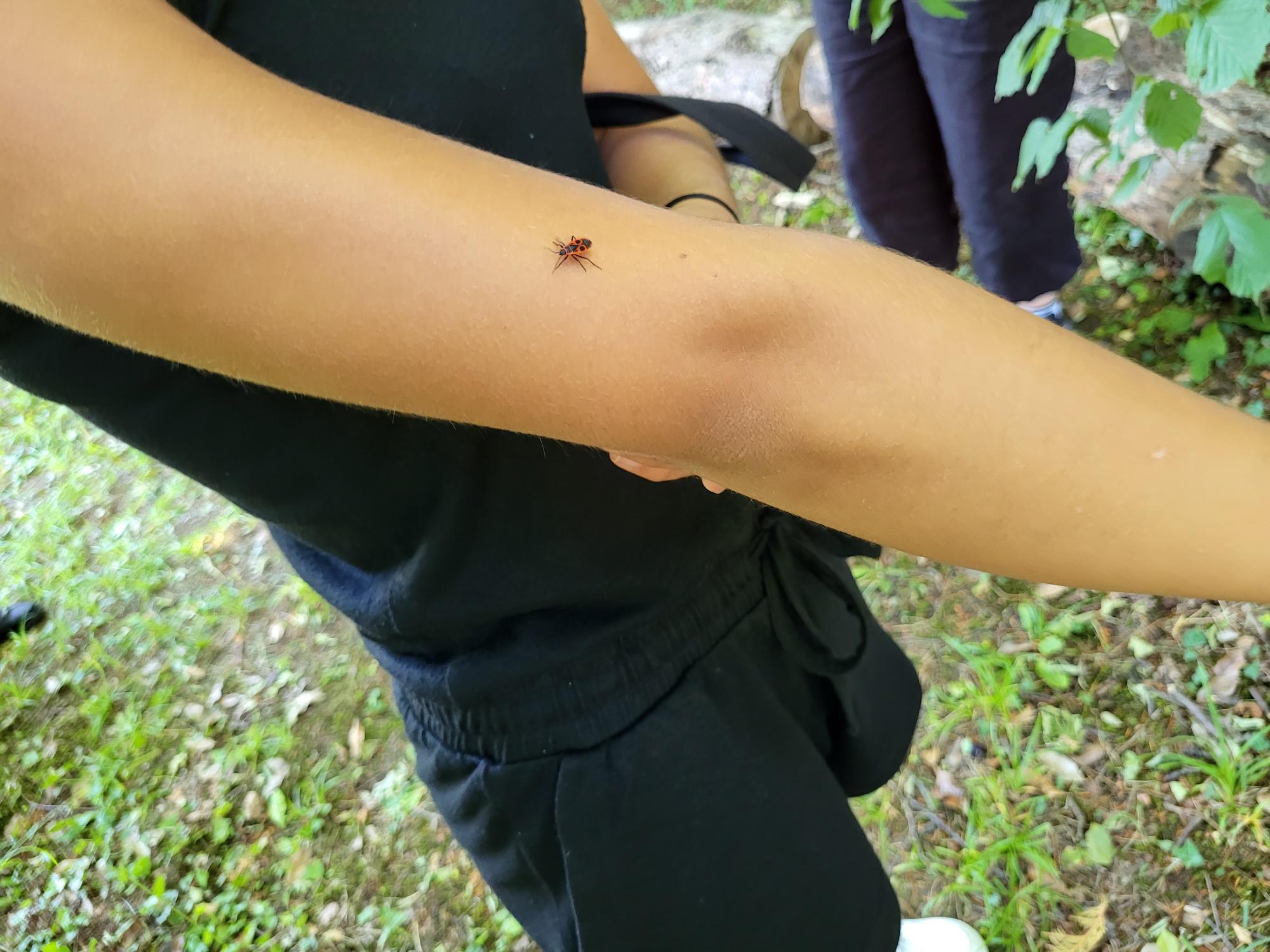 Partons à la découverte de la biodiversité 2022