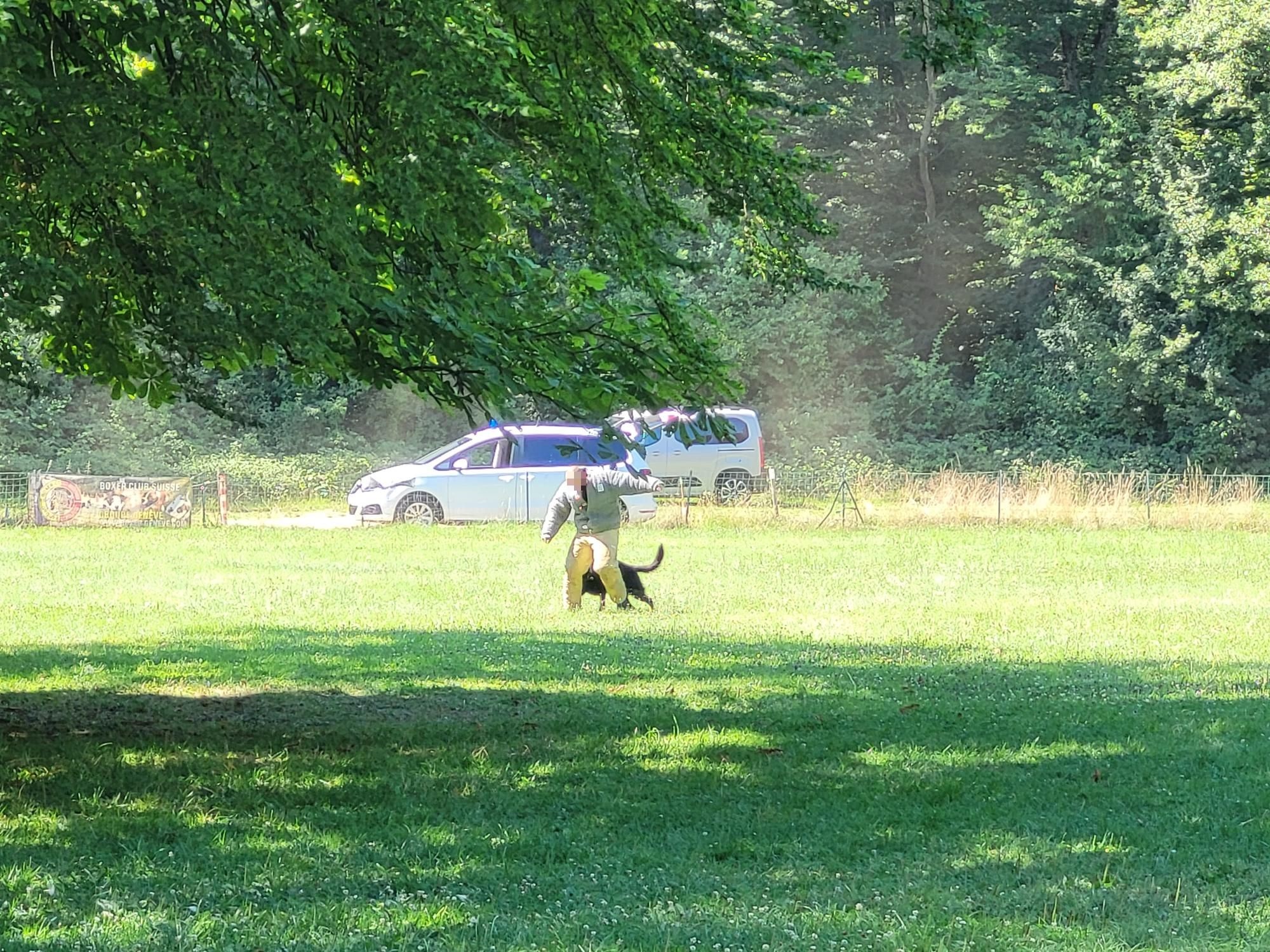 Démonstration de la brigade des chiens de Police 2022