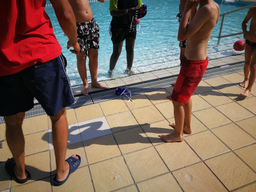 Natation et waterpolo