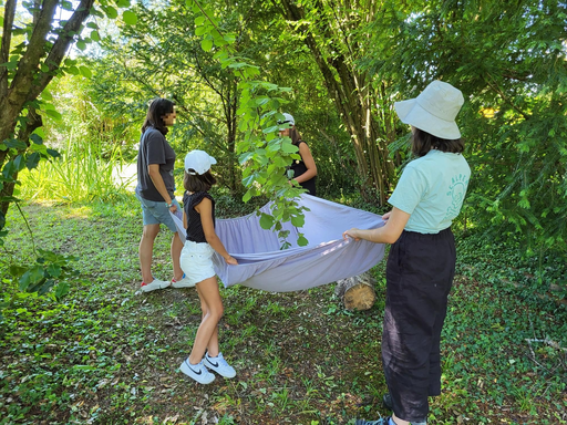 Partons à la découverte de la biodiversité 2022