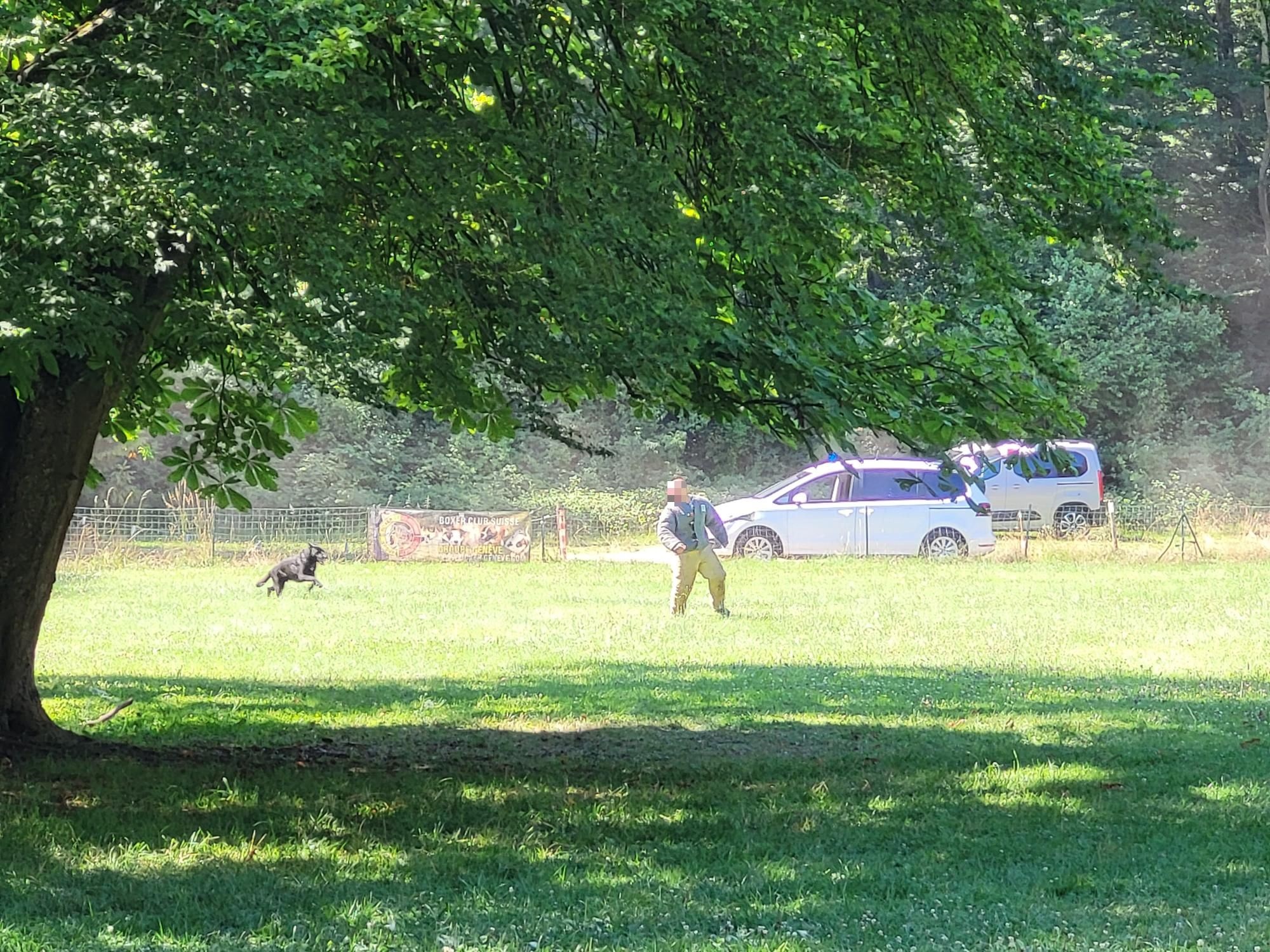 Démonstration de la brigade des chiens de Police 2022