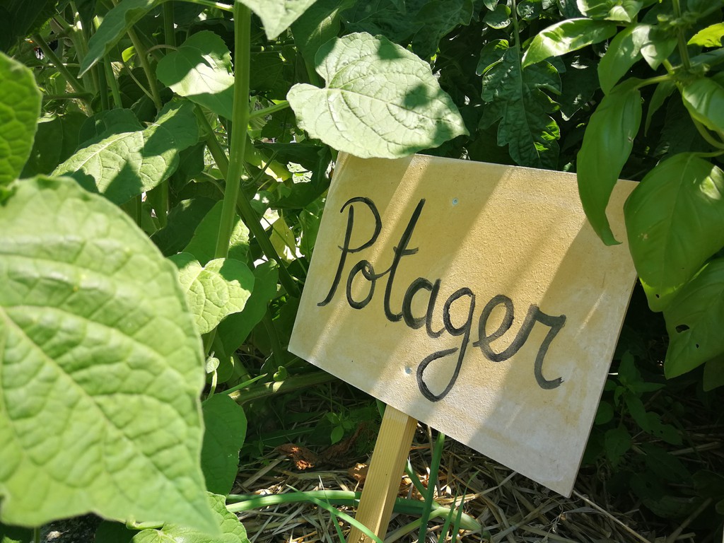 Cuisine dans le potager bio