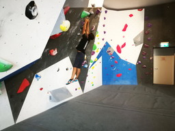 Escalade sur bloc 2021
