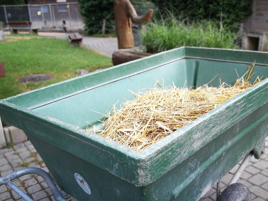 Découverte du métier de gardien d'animaux