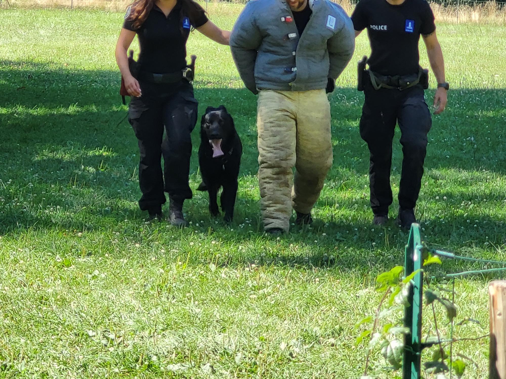 Démonstration de la brigade des chiens de Police 2022