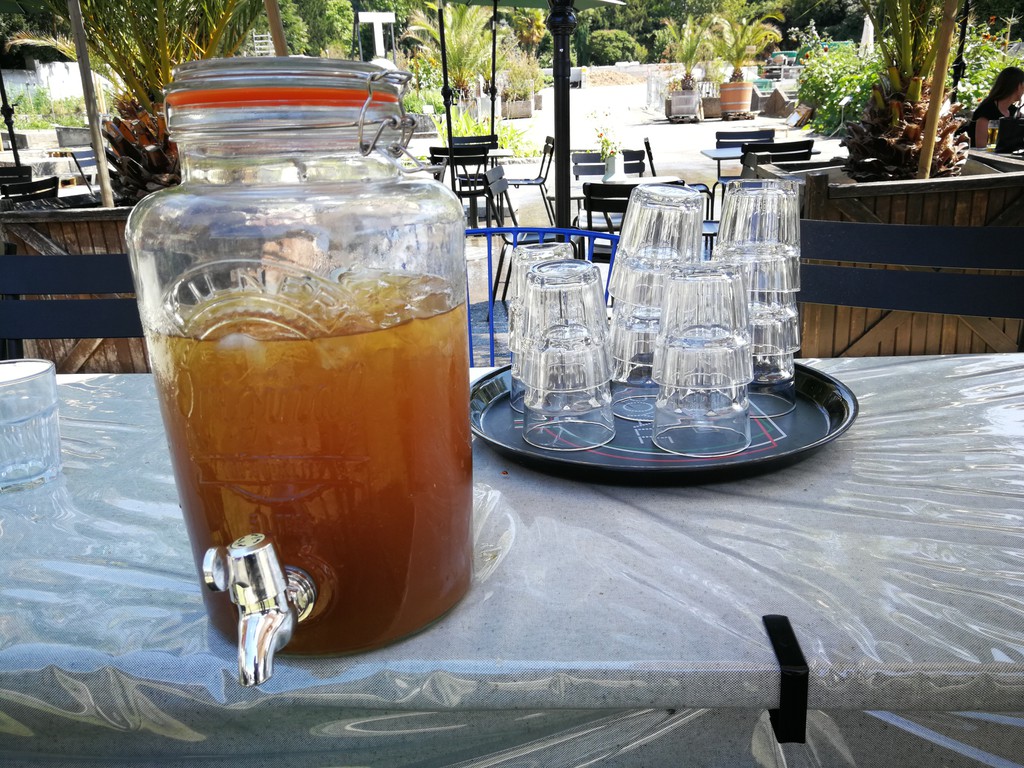 Cuisine dans le potager bio