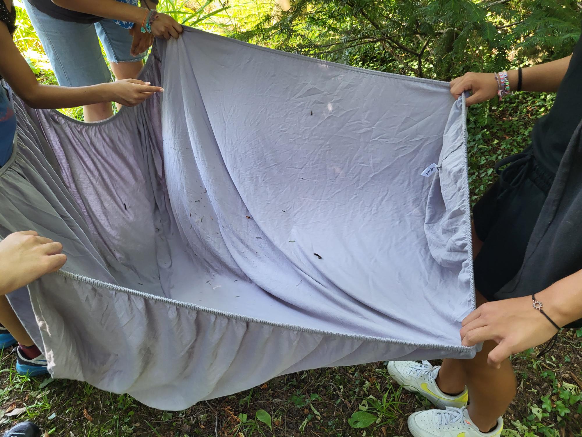 Partons à la découverte de la biodiversité 2022