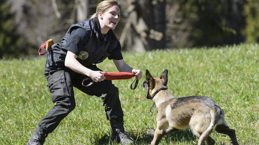 Police vaud
