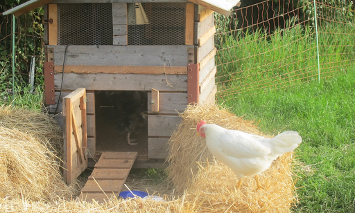 Découvre la vie de la ferme de la Touvière! 2020